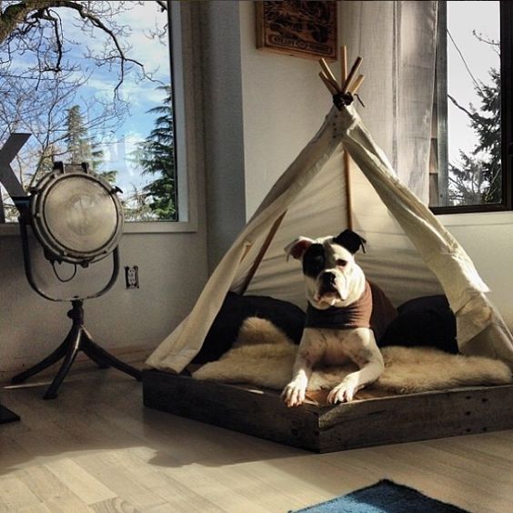 english-bulldog-bed-1