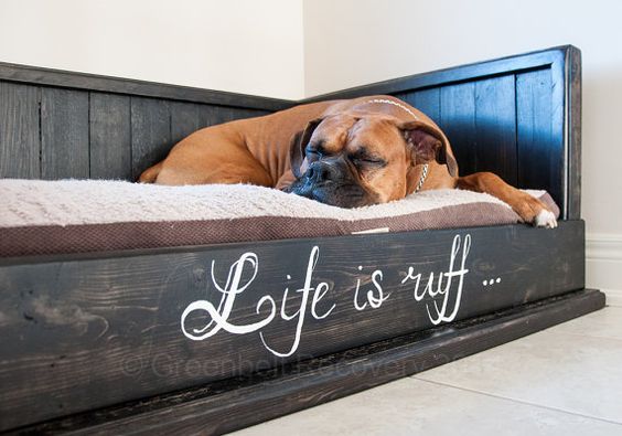 How important are dog beds for English Bulldogs? | Bulliepupsrus.com