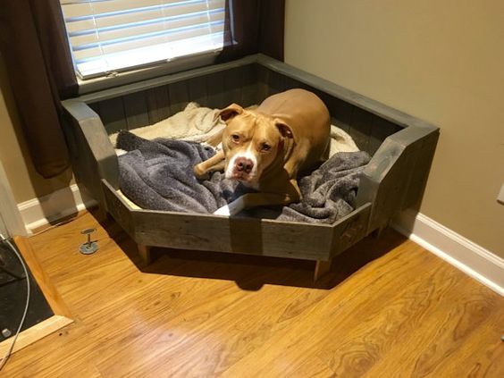 english-bulldog-bed-3